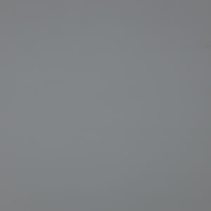 Canon_RF_85_Macro_Vignet_8