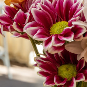 Canon_RF_85_Macro_f22