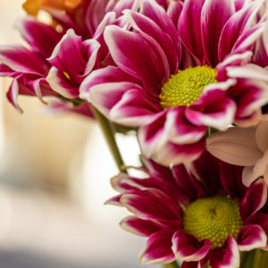 Canon_RF_85_Macro_f5.6