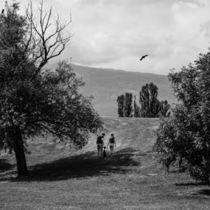 126205197_10157603910386434_9009967000261715412_o