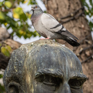 M.Zuiko_Digital_ED_100-400mm_f_5-6.3_IS_13