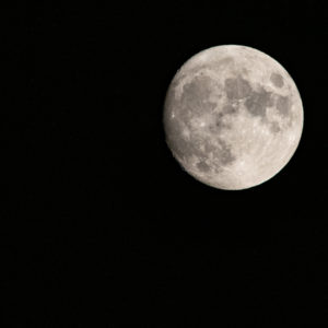 M.Zuiko_Digital_ED_100-400mm_f_5-6.3_IS_28