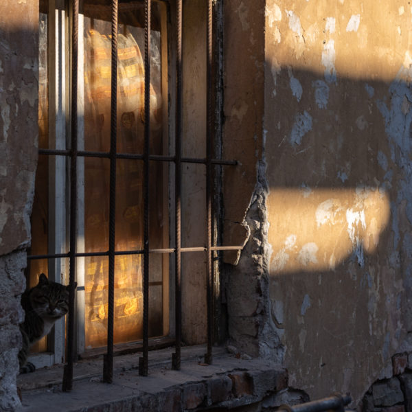 Canon_RF_50_1.8_7