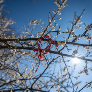 Nikkor_Z_14-24_f2.8S_21