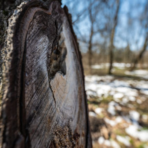 Nikkor_Z_14-24_f2.8S_4