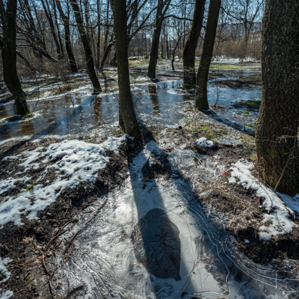 Nikkor_Z_14-24_f2.8S_5