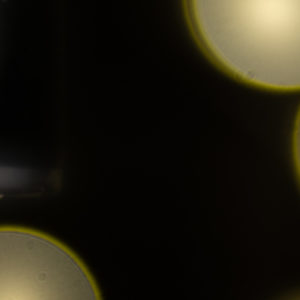 Pentax_Takumar_135mm_2.5_Center