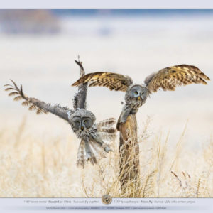 Additional_awarded_slideshow_4