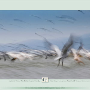 Additional_awarded_slideshow_7