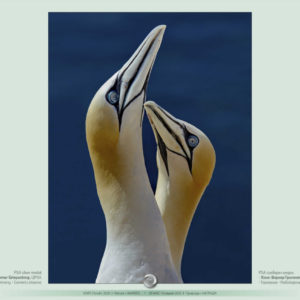 Additional_awarded_slideshow_8