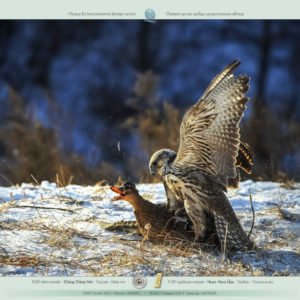 Additional_awarded_slideshow_9