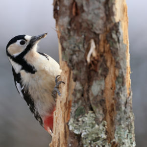 RF-600mm-F4L-IS-USM_Sample_Image_72A0368[1]