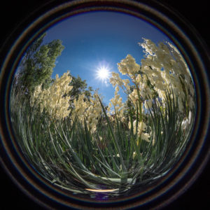 Laowa_4mm_f_2.8_Fisheye_36