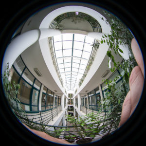 Laowa_4mm_f_2.8_Fisheye_48