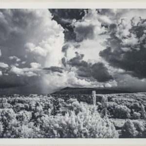 Premium_Fine_Art_Rough