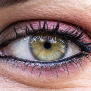 Canon_RF_100mm_F2.8L_Macro_1