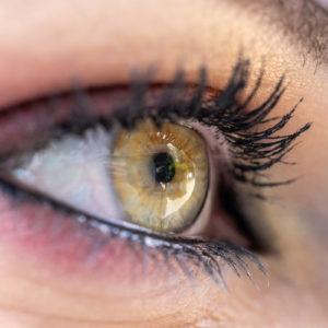 Canon_RF_100mm_F2.8L_Macro_4