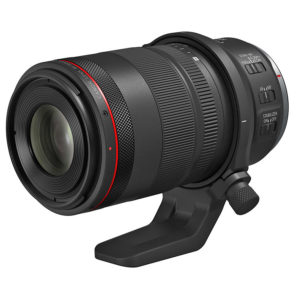 Canon_RF_100mm_F2.8L_Macro_6