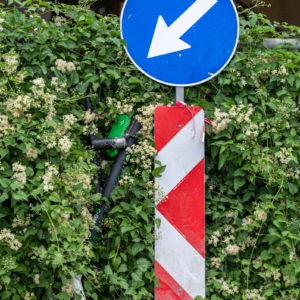 NIKKOR_Z_MC_105mm_2.8_VR_S_4