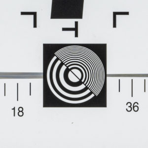 NIKKOR_Z_MC_50mm_2.8_Center_16