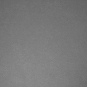 NIKKOR_Z_MC_50mm_2.8_Vignet_11