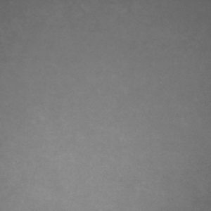 NIKKOR_Z_MC_50mm_2.8_Vignet_8