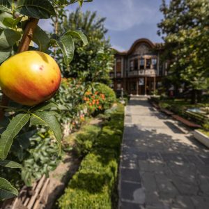 Canon_RF_14-35mm_f_4L_IS_USM_34