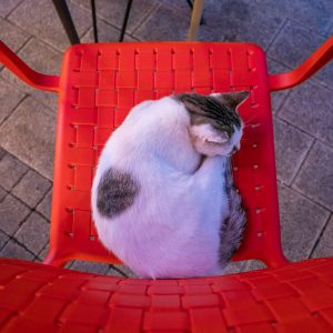 Canon_RF_14-35mm_f_4L_IS_USM_4