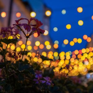 Canon_RF_14-35mm_f_4L_IS_USM_9