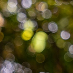 Tamron_17-28mm_F_2.8_Di_III_RXD_10