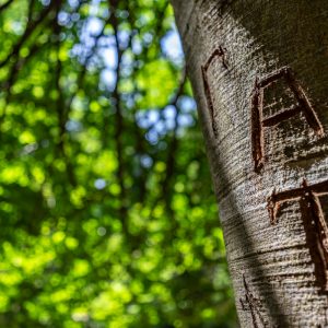 Tamron_17-28mm_F_2.8_Di_III_RXD_21