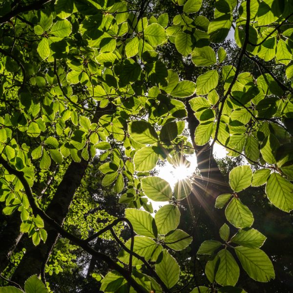 Tamron_17-28mm_F_2.8_Di_III_RXD_22