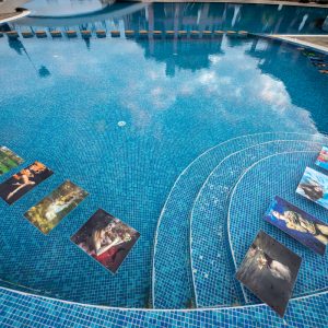 Sony_FE_12-24mm_F2.8_G_Master_22