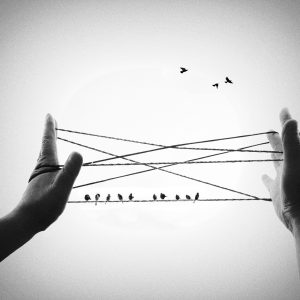 Spotlight_Mariana_dobreva (11)