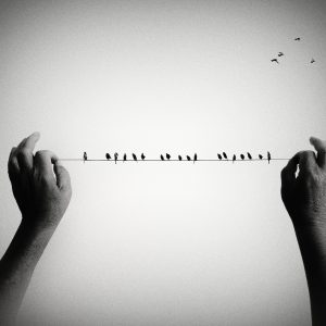 Spotlight_Mariana_dobreva (12)