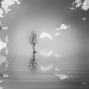 Spotlight_Mariana_dobreva (14)