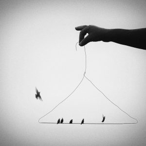 Spotlight_Mariana_dobreva (16)