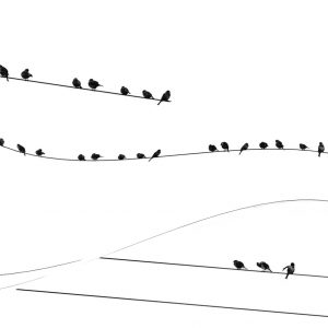 Spotlight_Mariana_dobreva (2)