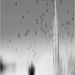 Spotlight_Mariana_dobreva (21)