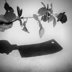 Spotlight_Mariana_dobreva (24)