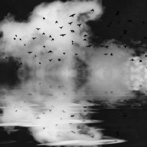 Spotlight_Mariana_dobreva (29)