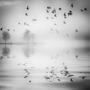 Spotlight_Mariana_dobreva (4)