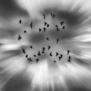 Spotlight_Mariana_dobreva (7)