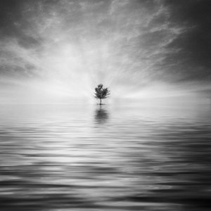 Spotlight_Mariana_dobreva (9)