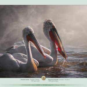 8th_IPS_Plovdiv_2021_slideshow_of_TOP_awarded_13