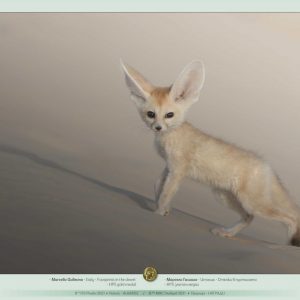 8th_IPS_Plovdiv_2021_slideshow_of_TOP_awarded_14