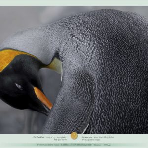 8th_IPS_Plovdiv_2021_slideshow_of_TOP_awarded_15