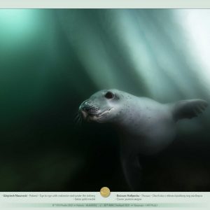 8th_IPS_Plovdiv_2021_slideshow_of_TOP_awarded_16