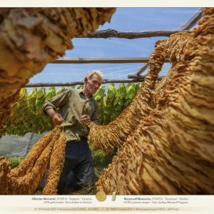 8th_IPS_Plovdiv_2021_slideshow_of_TOP_awarded_20