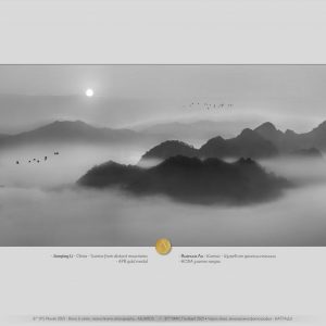 8th_IPS_Plovdiv_2021_slideshow_of_TOP_awarded_4